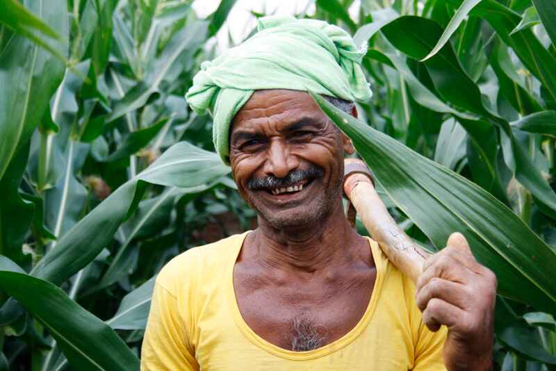 Farmer working in a field